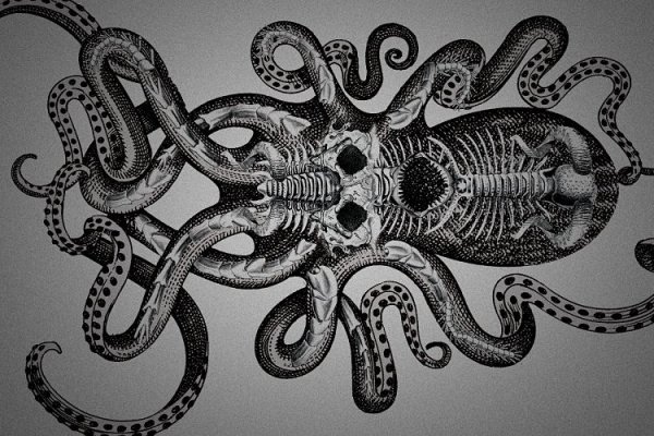 Кракен даркнет ссылка kraken link24 info
