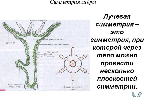 Кракен сайт регистрация